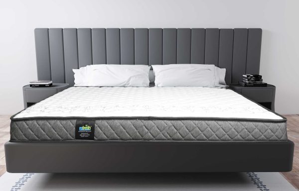 Refresh Planet Plush Mattresses